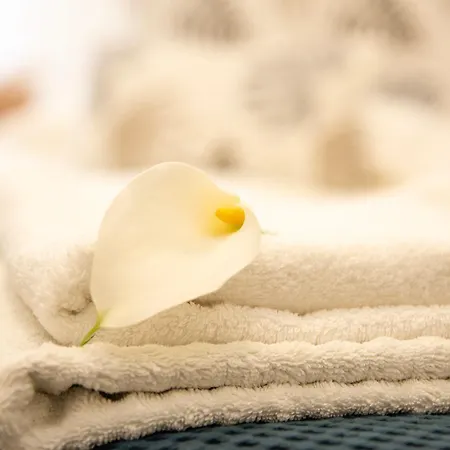 House Domusella 아파트 로마