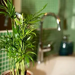 Apartman House Domusella